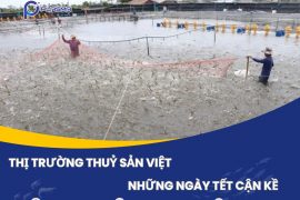 THỊ TRƯỜNG THUỶ SẢN VIỆT NAM NHỮNG NGÀY TẾT CẬN KỀ