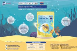 XỬ LÝ NƯỚC AO NUÔI BẰNG VI SINH – AQUA THAI PRO