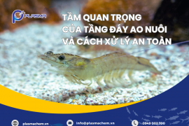 TẦM QUAN TRỌNG CỦA TẦNG ĐÁY AO NUÔI VÀ CÁCH XỬ LÝ AN TOÀN
