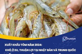 XUẤT KHẨU TÔM NĂM 2024: KHÓ Ở EU, THUẬN LỢI TẠI NHẬT BẢN VÀ TRUNG QUỐC