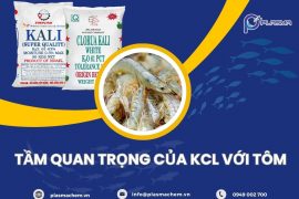 TẦM QUAN TRỌNG CỦA KALI ĐỐI VỚI TÔM