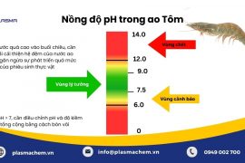 Tầm quan trọng của pH trong ao nuôi, cách điều chỉnh và kiểm soát pH trong ao.