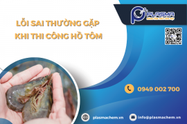 LỖI SAI THƯỜNG GẶP KHI THI CÔNG HỒ TÔM
