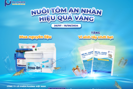 NUÔI TÔM AN NHÀN, HIỆU QUẢ VÀNG!!!