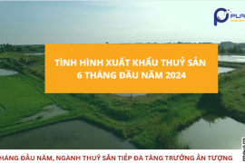 6 THÁNG ĐẦU NĂM, NGÀNH THUỶ SẢN TIẾP ĐÀ TĂNG TRƯỞNG ẤN TƯỢNG