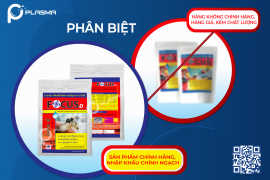 ?Phân Biệt Focus-D Hàng Chính Hãng Và Hàng Giả, Hàng Trôi Nổi!