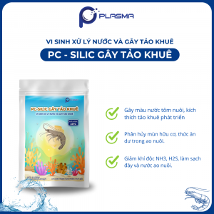 VI SINH PC-SILIC GÂY TẢO KHUÊ