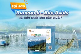 AXIT MẬT CẦN THIẾT CHO TÔM NUÔI
