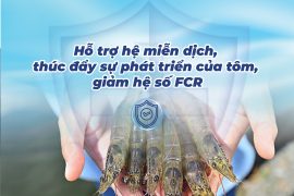 AXIT MẬT – TĂNG HIỆU SUẤT CHO TÔM, CÁ, HEO, GÀ