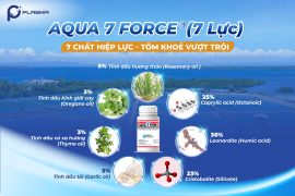 AQUA 7 FORCE® (7 Lực) có gì đặc biệt? 7 thành phần giúp tôm khỏe toàn diện