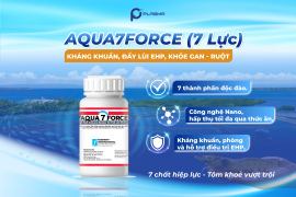 AQUA 7 FORCE (7 Lực) – Giải pháp kháng khuẩn, phòng bệnh EHP – lần đầu tiên có mặt tại Việt Nam