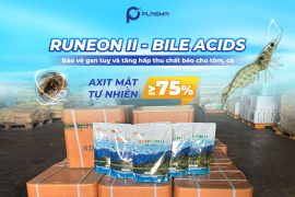 RUNEON II – Axit mật giúp bảo vệ gan và tối ưu hấp thu chất béo cho tôm, cá