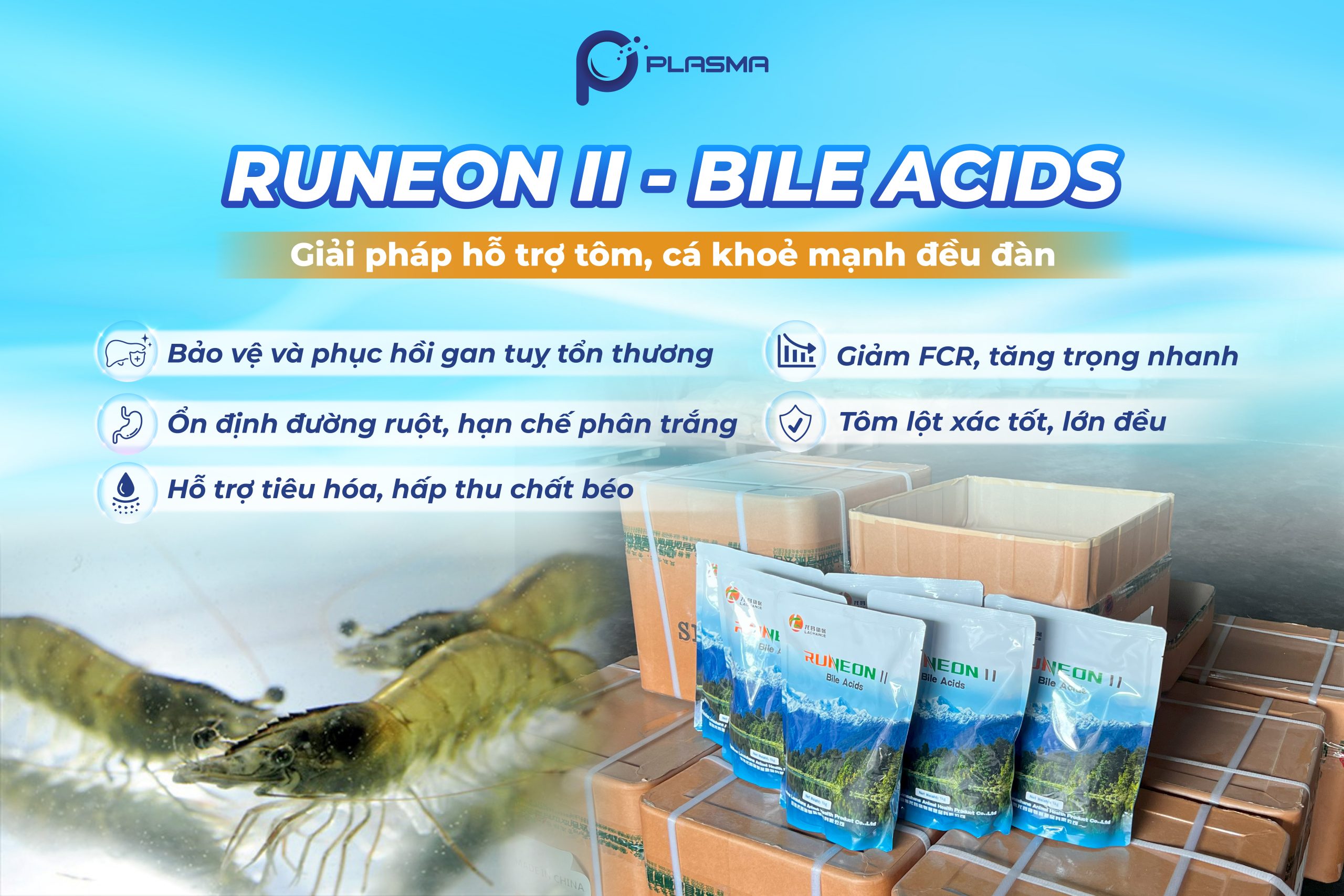 Axit mật RUNEON II – Giải pháp tăng hấp thu, bảo vệ gan và giảm FCR