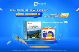 CHĂM TÔM KHỎE – RINH QUÀ CHẤT CÙNG RUNEON II