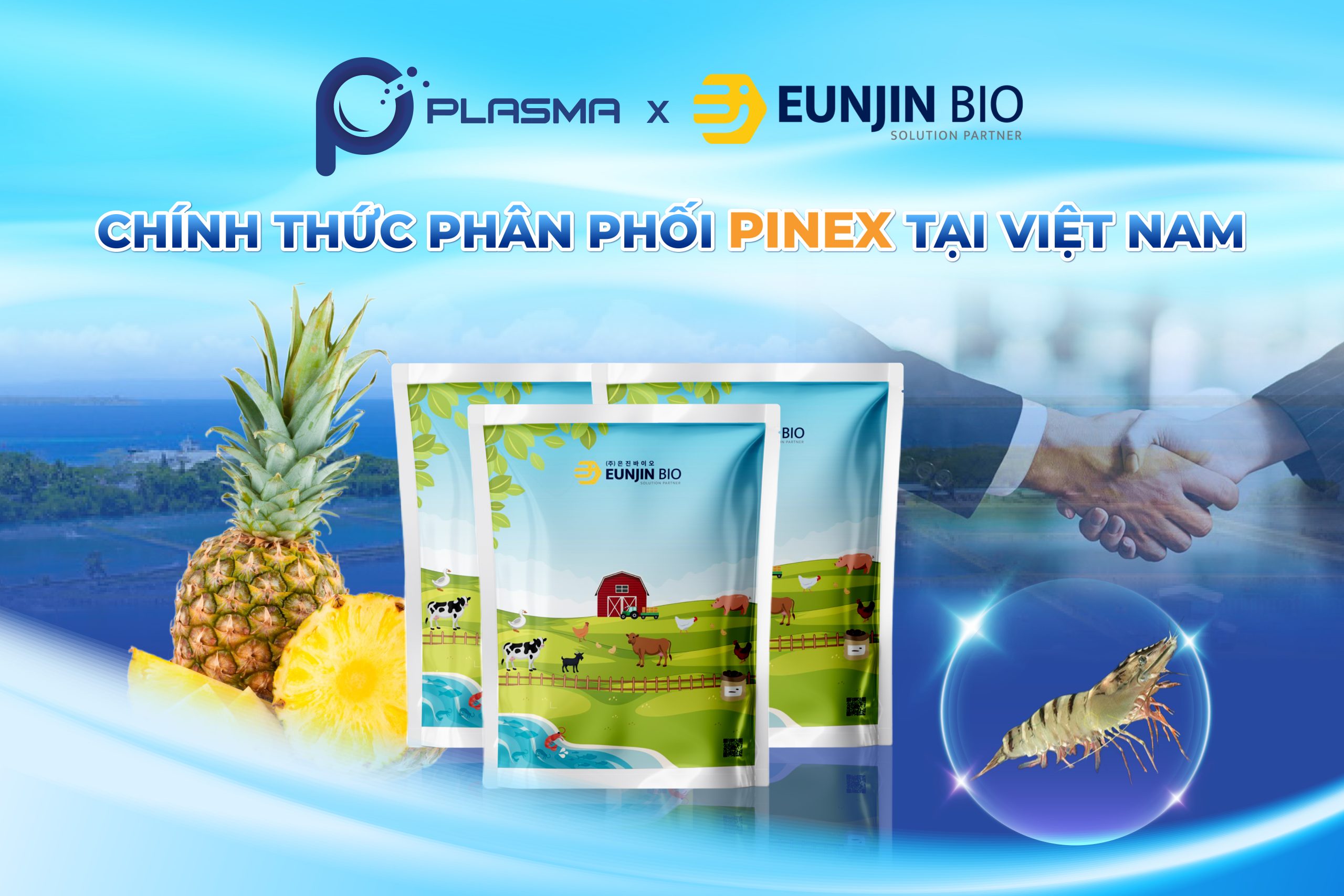 Plasma chính thức phân phối Enzyme dứa PINEX tại Việt Nam.