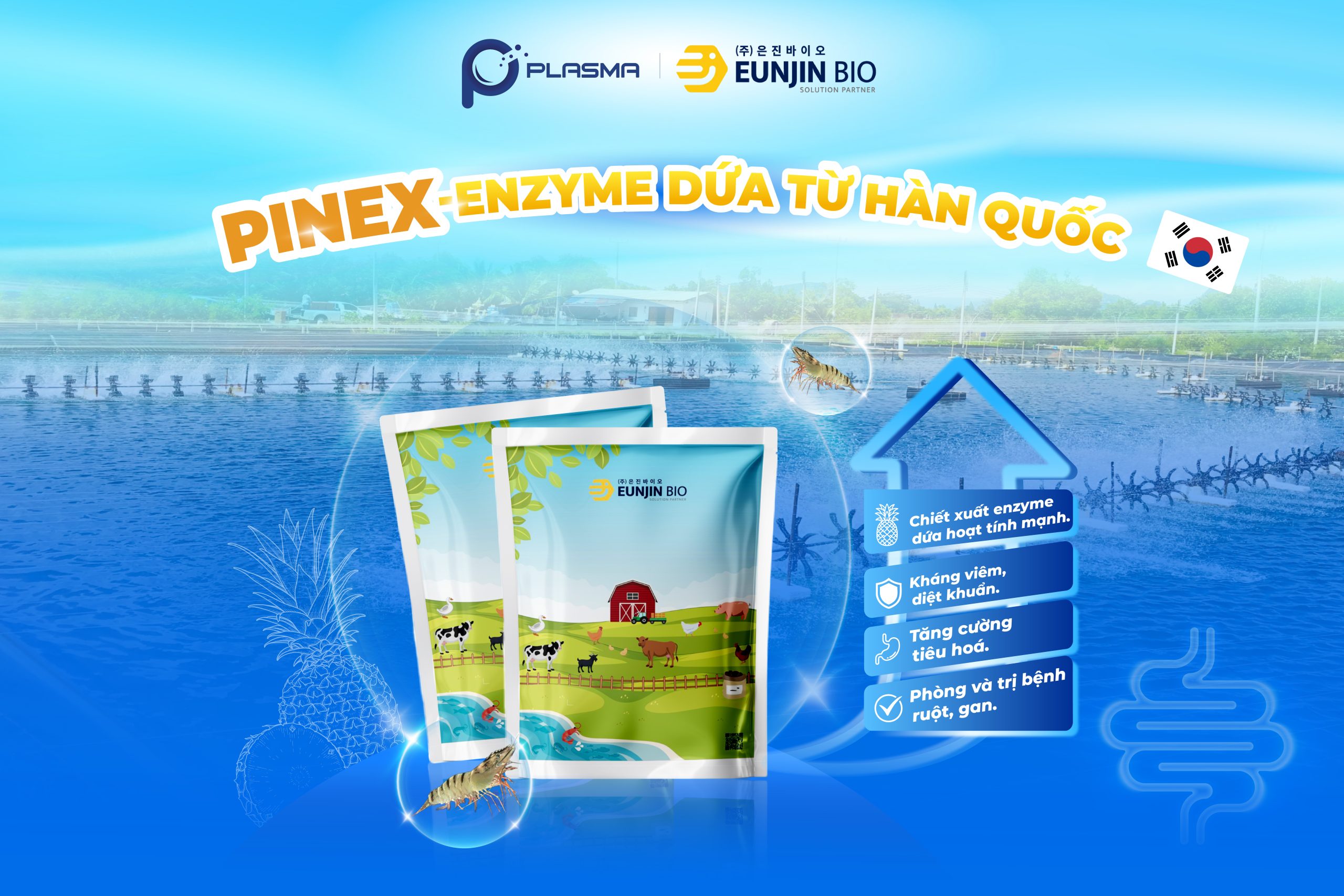 PINEX - enzyme dứa đến từ Hàn Quốc