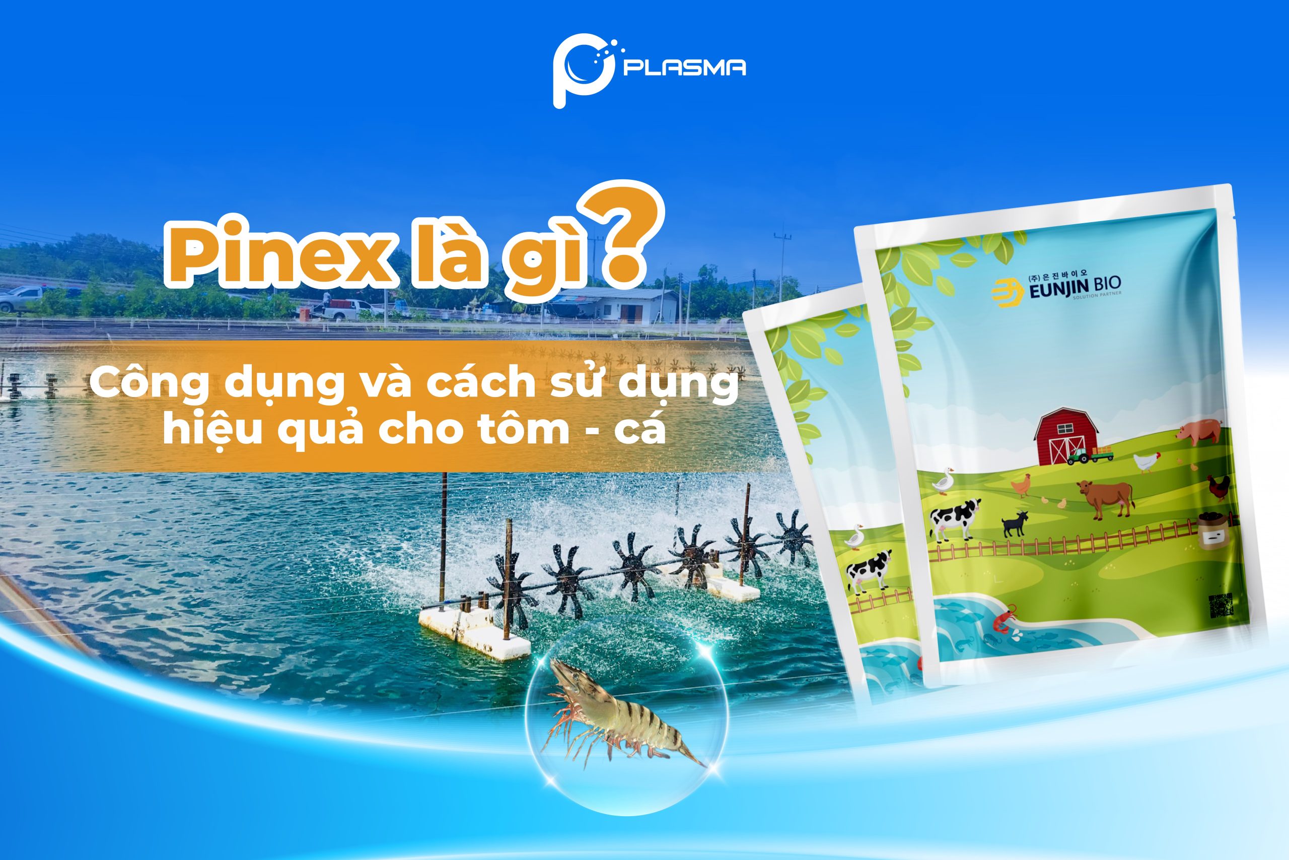 Enzyme dứa Pinex là gì?