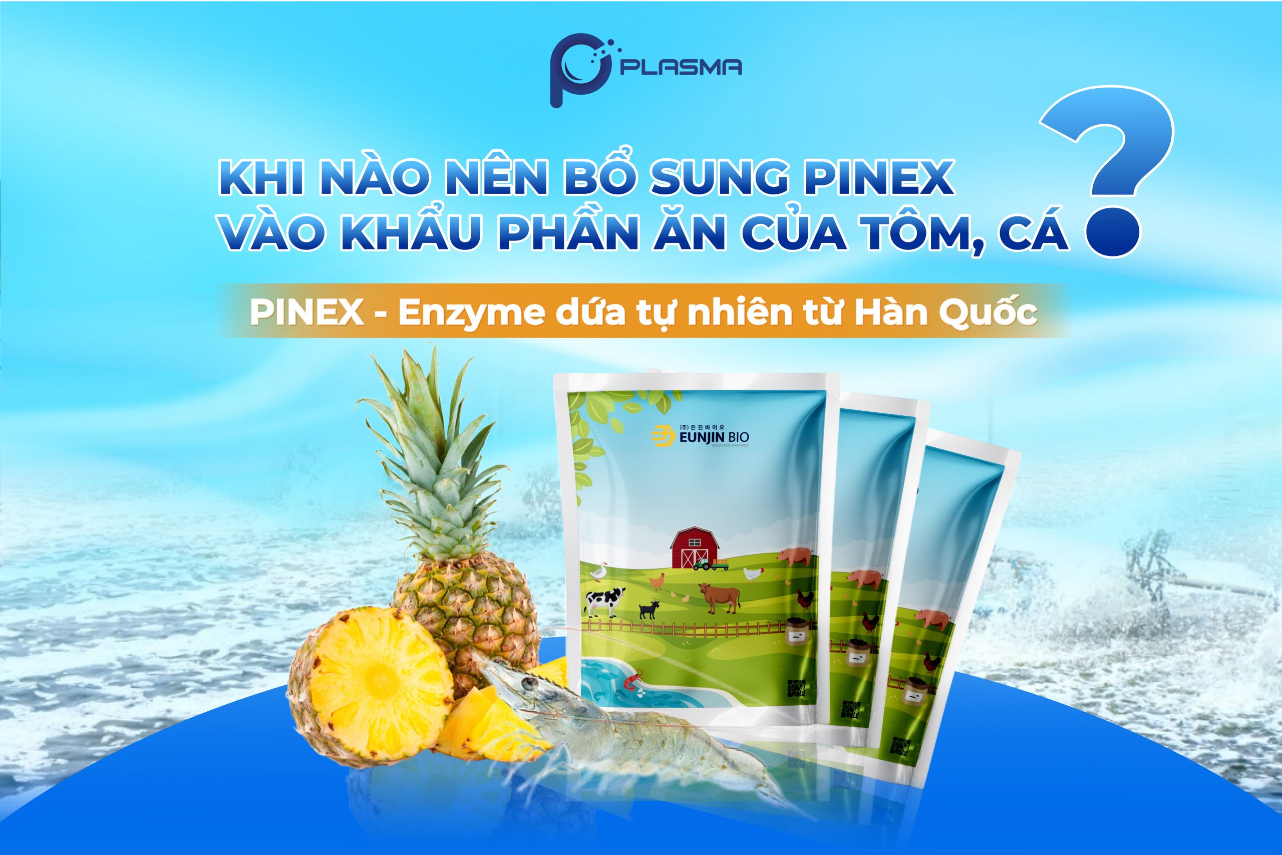 Khi nào nên bổ sung enzyme dứa PINEX cho tôm cá