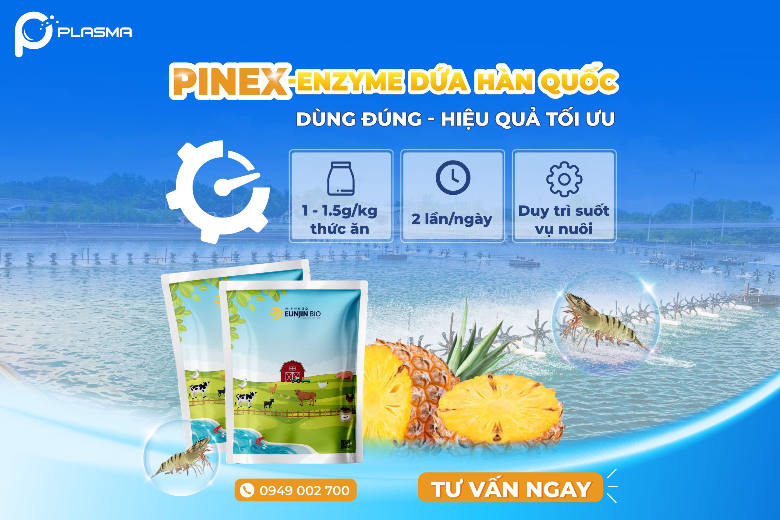 Liều lượng sử dụng PINEX phù hợp nhất