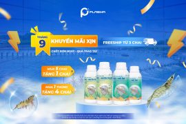 Khuyến mãi tháng 09/2025: PC Nutri Plus & PC Mê Ăn – Nhận quà tặng hấp dẫn