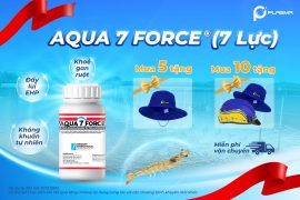 [KHUYẾN MÃI] AQUA 7 FORCE® (7 LỰC) – GIÚP KHÁNG KHUẨN, PHÒNG EHP, KHỎE GAN-RUỘT