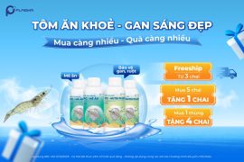 [MUA CÀNG NHIỀU – QUÀ CÀNG NHIỀU] TÔM ĂN KHỎE – GAN SÁNG ĐẸP