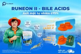 [KHUYẾN MÃI] AXIT MẬT RUNEON II – TĂNG HẤP THU, CẢI THIỆN GAN TUỴ CHO TÔM CÁ