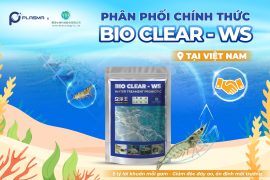 Plasma Việt Nam Hợp Tác Cùng Yanten Biotech – Chính Thức Ra Mắt Bio Clear – WS Tại Việt Nam