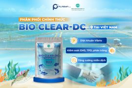 Plasma Việt Nam Chính Thức Phân Phối BIO CLEAR-DC – Vi Sinh Diệt Khuẩn Từ Yanten Biotech (Đài Loan)