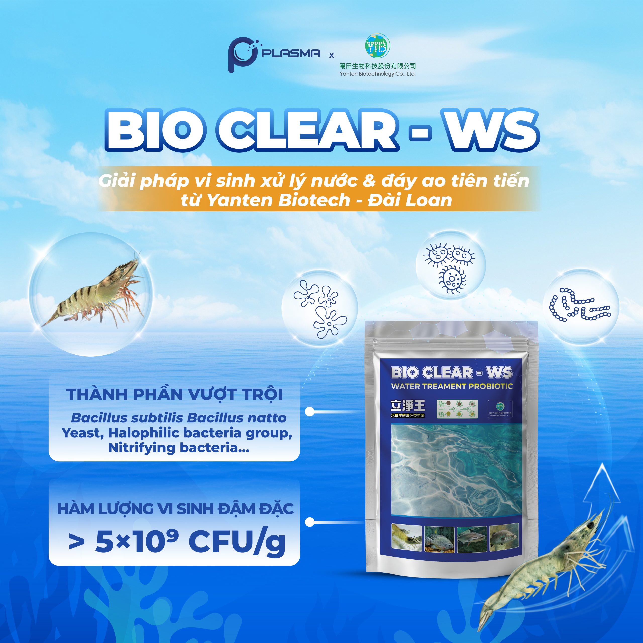 Bio Clear - WS sở hữu thành phần ưu việt, hàm lượng vi sinh đậm đặc mang lại hiệu quả tối ưu.