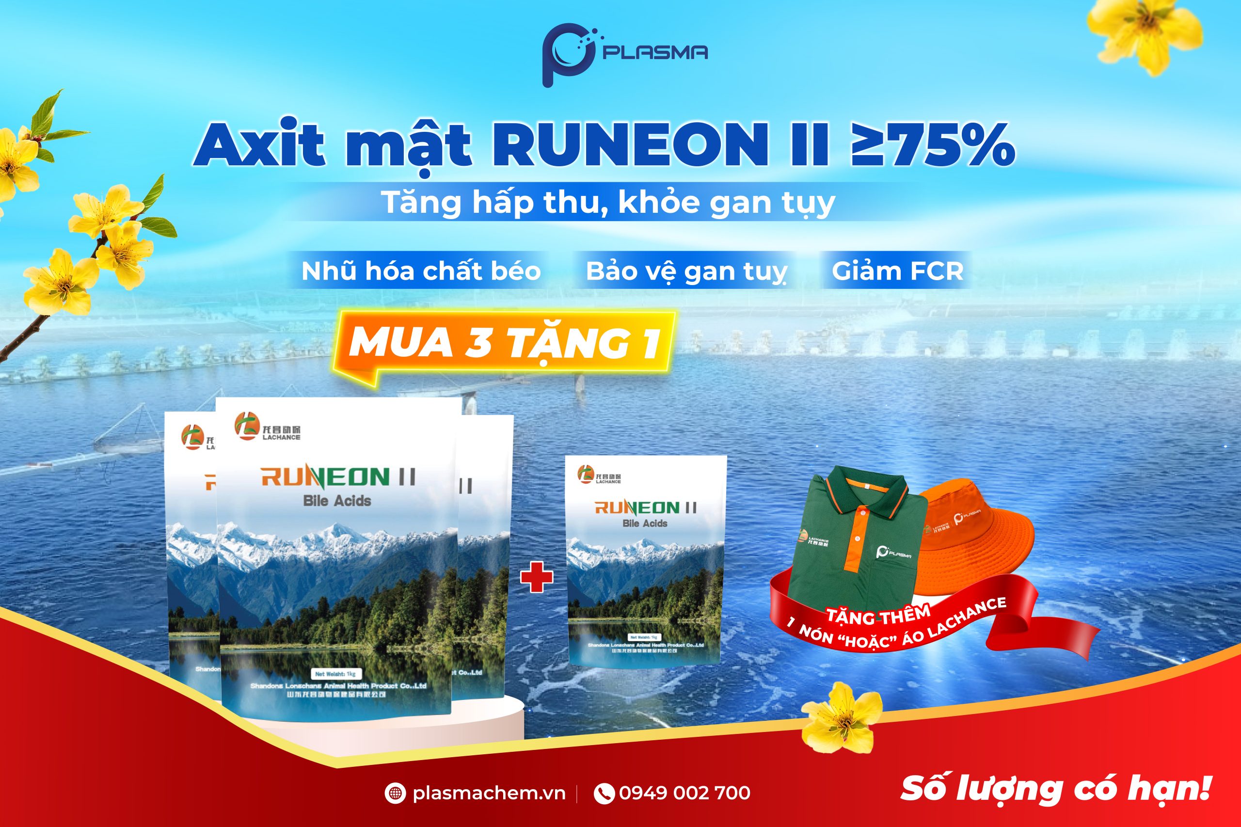 Axit mật RUNEON II - Mua 3 tặng 1, tặng thêm 1 nón hoặc 1 áo thun Lachance