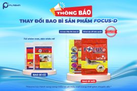 THÔNG BÁO THAY ĐỔI BAO BÌ SẢN PHẨM FOCUS-D – HỖ TRỢ BẢO VỆ GAN TÔM, KIỂM SOÁT EHP