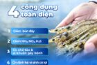 4 CÔNG DỤNG TOÀN DIỆN CỦA BIO CLEAR WS – GIẢI PHÁP XỬ LÝ NƯỚC & ĐÁY AO HIỆU QUẢ