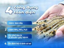 4 CÔNG DỤNG TOÀN DIỆN CỦA BIO CLEAR WS – GIẢI PHÁP XỬ LÝ NƯỚC & ĐÁY AO HIỆU QUẢ