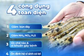 4 CÔNG DỤNG TOÀN DIỆN CỦA BIO CLEAR WS – GIẢI PHÁP XỬ LÝ NƯỚC & ĐÁY AO HIỆU QUẢ