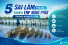 5 sai lầm phổ biến khiến EHP bùng phát trong ao nuôi tôm