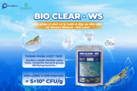 Thành phần và công nghệ nổi bật tạo nên hiệu quả vượt trội của Bio Clear WS