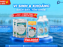 [ƯU ĐÃI] COMBO VI SINH & KHOÁNG – ĐÁY SẠCH, TÔM KHOẺ TẶNG 01 GÓI MEN ĐÁY BIO PC-BZT