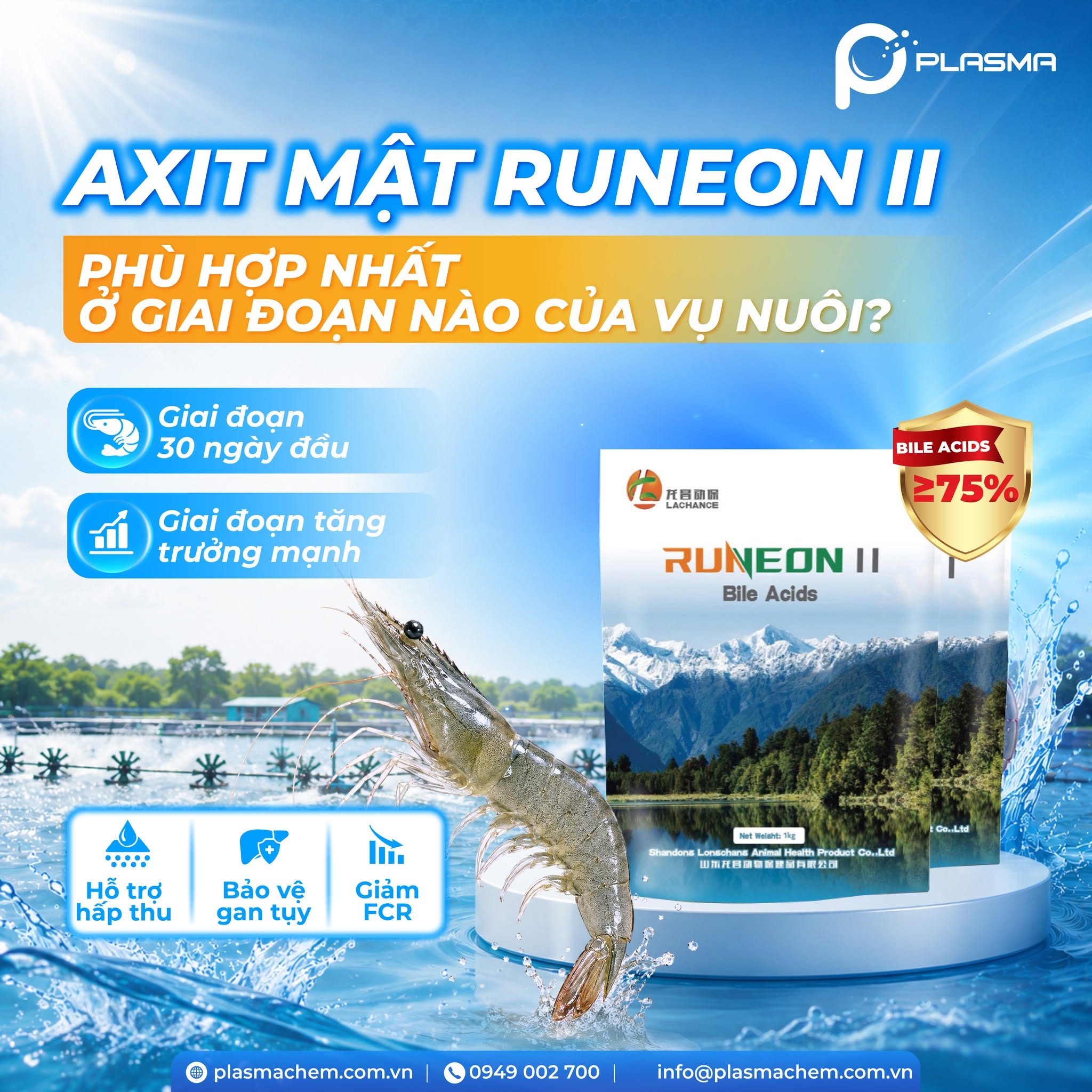 Bổ sung Axit mật đúng thời điểm giúp tôm khoẻ mạnh, phát triển ổn định suốt vụ nuôi.