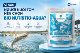 Vì sao người nuôi tôm nên chọn BIO NUTRITIO-AQUA?