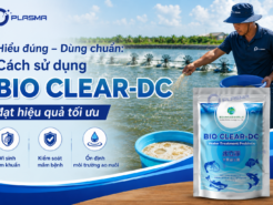 Hiểu đúng – Dùng chuẩn: Cách sử dụng BIO CLEAR DC đạt hiệu quả tối ưu