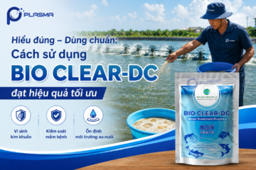 Hiểu đúng – Dùng chuẩn: Cách sử dụng BIO CLEAR DC đạt hiệu quả tối ưu