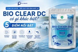 BIO CLEAR DC có gì khác biệt? 5 điểm nổi bật từ công nghệ vi sinh Yanten