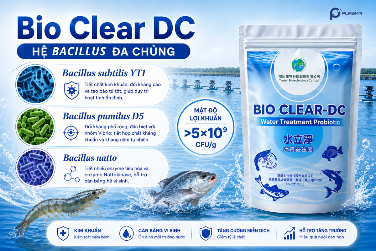 Bio Clear DC chứa hệ Biciluss đa chủng giúp mang lại hiệu quả xử lý nước vượt trội.