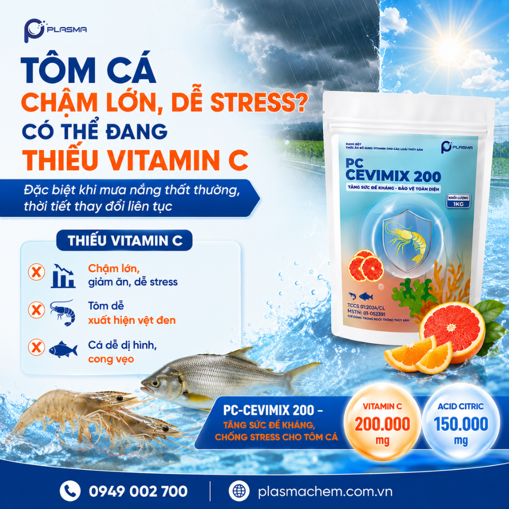 PC-CEVIMIX 200 - Bổ sung Vitamin C giúp tôm tăng đề kháng, chống chịu với thời tiết thất thường.