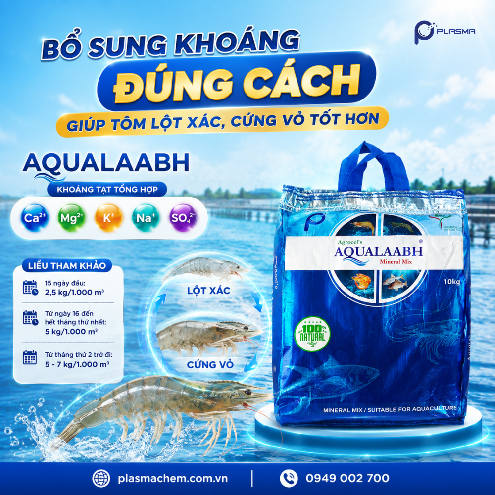 Aqualaabh - Bổ sung khoáng chất tự nhiên và kịp thời cho ao nuôi sau mỗi lần mưa.