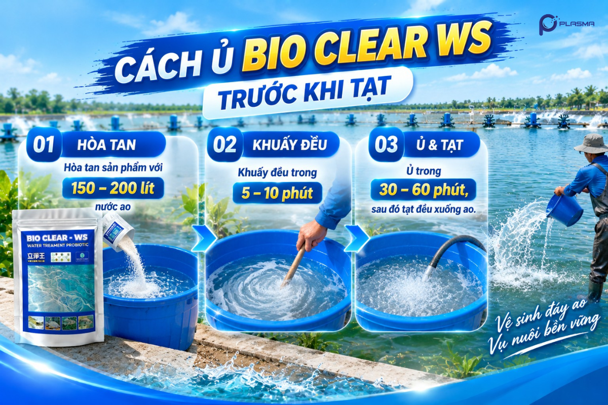 Cách ủ Bio Clear - WS