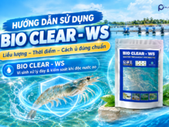 Hướng Dẫn Sử Dụng Bio Clear – WS: Liều Lượng, Thời Điểm, Cách Ủ Đúng Chuẩn