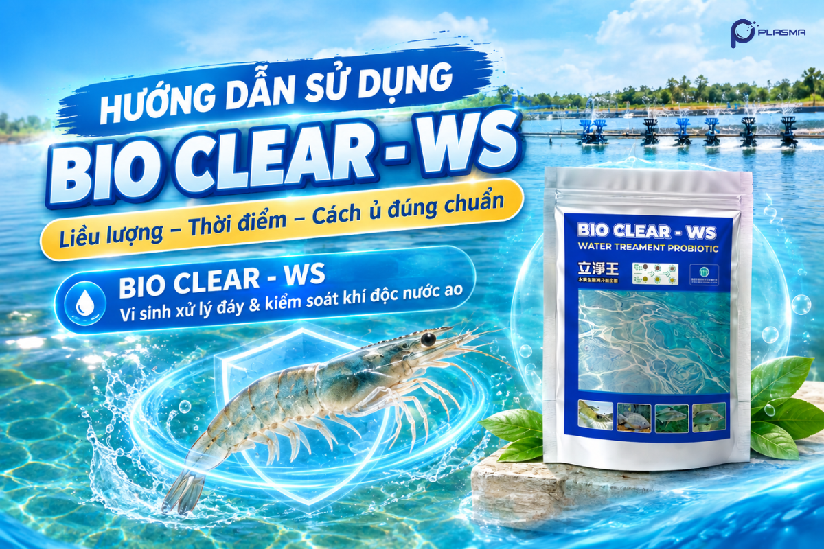Hướng dẫn sử dụng Bio Clear - WS đúng chuẩn.