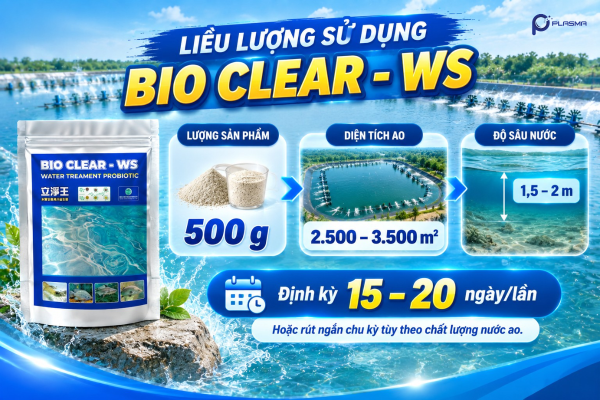 Sử dụng sản phẩm Bio Clear - WS đúng liều giúp xử lý đáy hiệu quả.